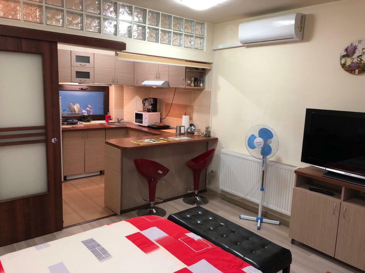 קלוז'-נאפוקה Haffner Studio מראה חיצוני תמונה