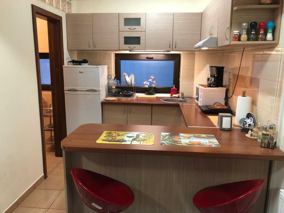 קלוז'-נאפוקה Haffner Studio מראה חיצוני תמונה